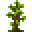Grid Star Anise Sapling.png
