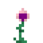 File:Pansy.png