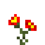Auricula.png