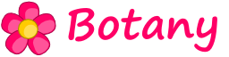 Botany Header.png