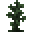 Grid Silver Lime Sapling.png
