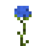 Scabious.png