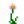 Grid Lily.png