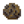 Grid Candlenut.png